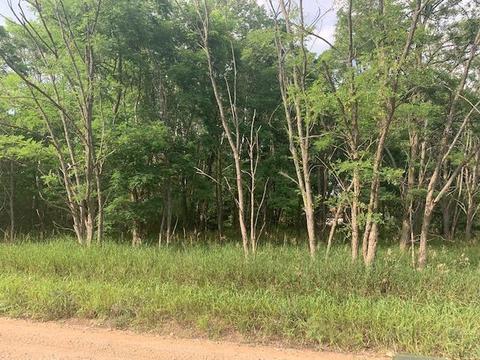 Lot #120 Old Logging, Hersey, MI 49639