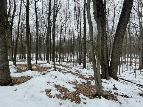 9924 Sweet Tree, Canadian Lakes, MI 49346
