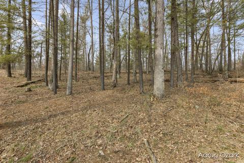4567 E 104th, Grant, MI 49327 photo 39