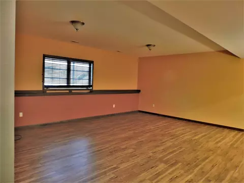 14101 Rivers, Big Rapids, MI 49307 photo 14