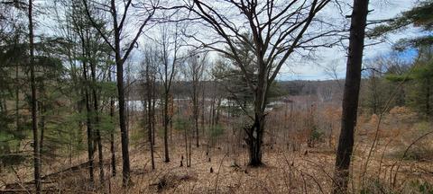 5035 Log, Mears, MI 49436 photo 49