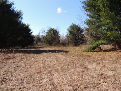 1070 56th, Pullman, MI 49450 photo 6