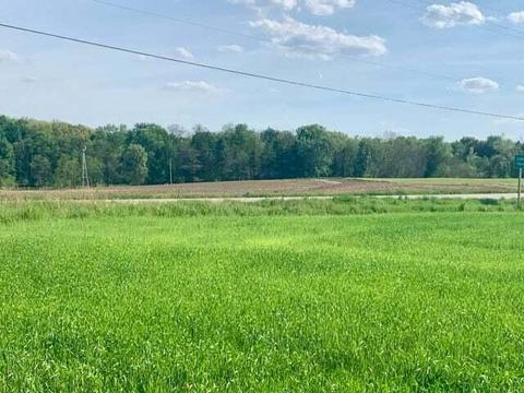 Vl Spring Arbor Rd., Spring Arbor, MI 49283 photo 3