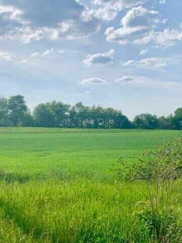 Vl Spring Arbor Rd., Spring Arbor, MI 49283 photo 4