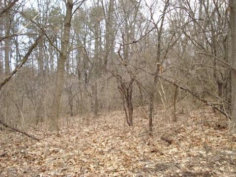 2300 Helena, Jackson, MI 49203