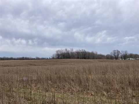 Lot C Bonanza Rd, Lake Odessa, MI 48849