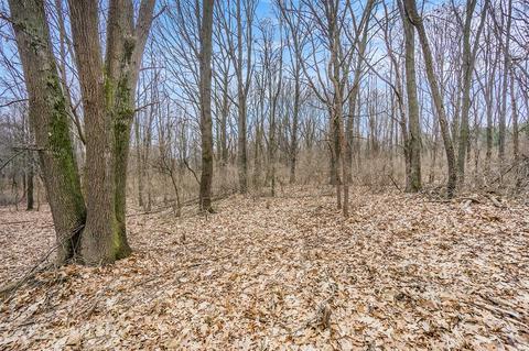 Lot 6 Highfield, Three Rivers, MI 49093 photo 23