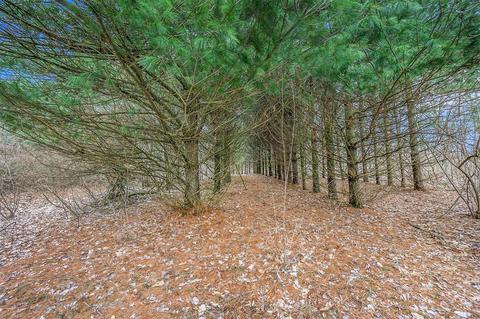 Lot 6 Highfield, Three Rivers, MI 49093 photo 16
