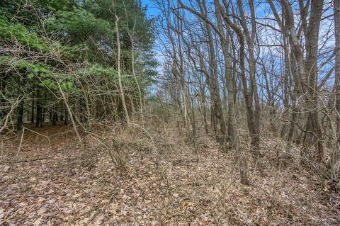 Lot 6 Highfield, Three Rivers, MI 49093 photo 24