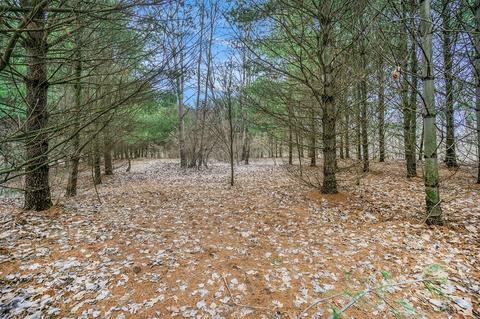 Lot 6 Highfield, Three Rivers, MI 49093 photo 17