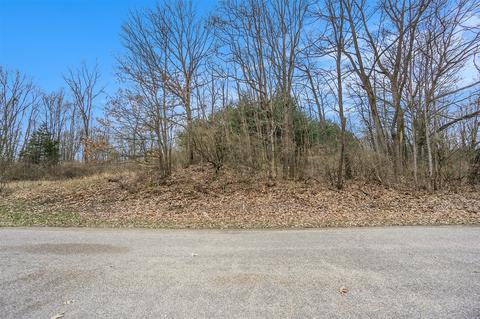 Lot 6 Highfield, Three Rivers, MI 49093 photo 11