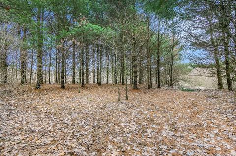 Lot 6 Highfield, Three Rivers, MI 49093 photo 18
