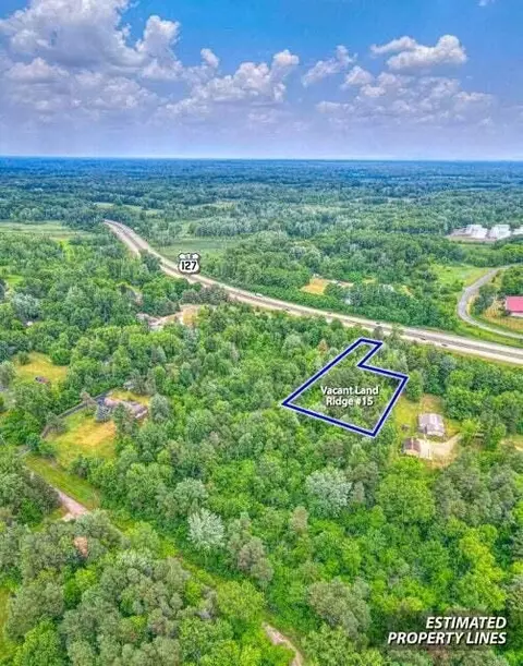 Vl Ridge, Jackson, MI 49201 photo 5