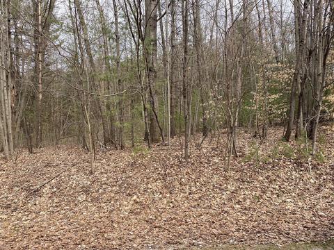 12941 Bowen Lk, Gowen, MI 49326