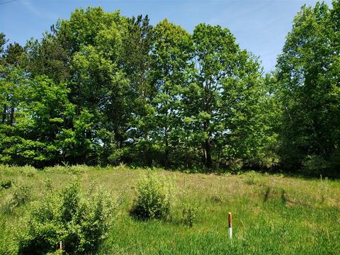 Parcel 3 Lasalle, Scottville, MI 49454