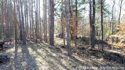 E 124th, Grant, MI 49327 photo 9