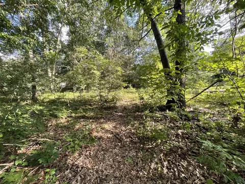 0 Winona #LOT 293, Howard City, MI 49329