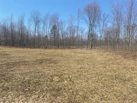 7000 N Stone, Hesperia, MI 49421