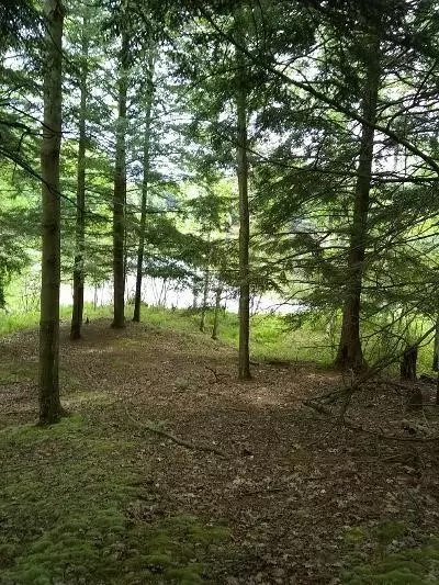 9813 Miramichi, Evart, MI 49631