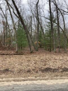 Lot 19 Star Lake Drive, Baldwin, MI 49304