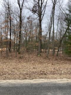 Lot 19 Star Lake Drive, Baldwin, MI 49304 photo 3