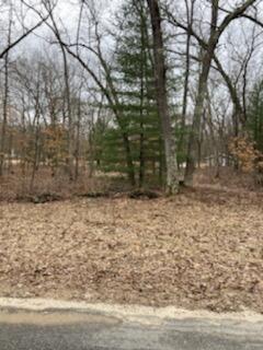 Lot 19 Star Lake Drive, Baldwin, MI 49304 photo 4