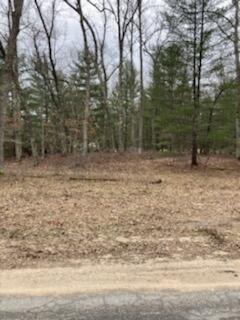 Lot 19 Star Lake Drive, Baldwin, MI 49304 photo 2