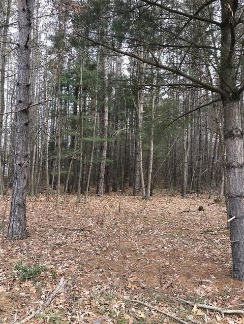 11899 Spencer, Sumner, MI 48889