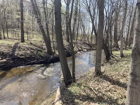13434 Cleveland, Buchanan, MI 49107 photo 5