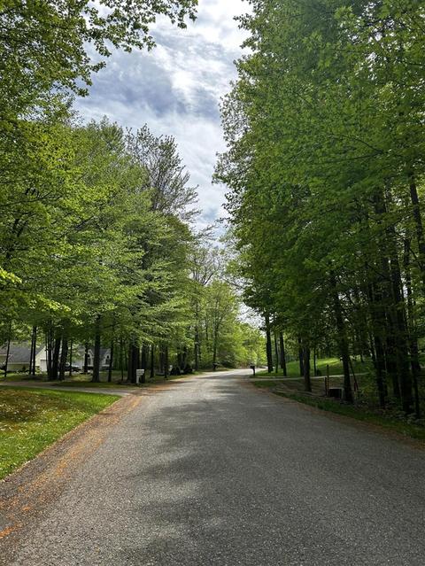 Lot 13 Kimberly, Pierson, MI 49339