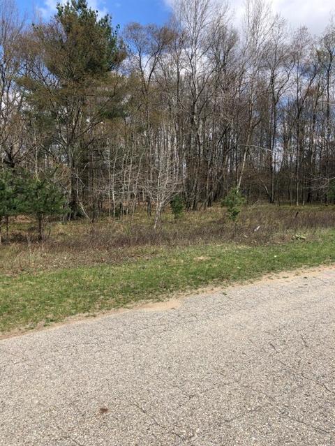 6359 Kilkenny Dr #35, Canadian Lakes, MI 49346