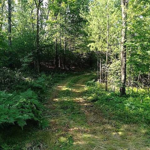 Vl Baseline, White Cloud, MI 49349 photo 3
