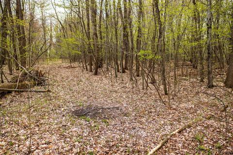 00 Vl 108th Ave, Pullman, MI 49450 photo 16