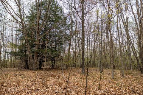 00 Vl 108th Ave, Pullman, MI 49450 photo 17