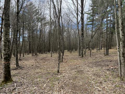 V/l Cottonwood Ave, Newaygo, MI 49337