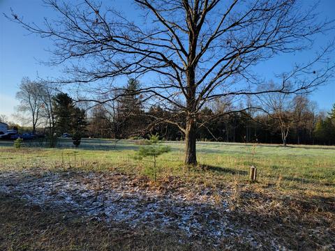 3 08 Acres Wilderness, Kaleva, MI 49645 photo 7
