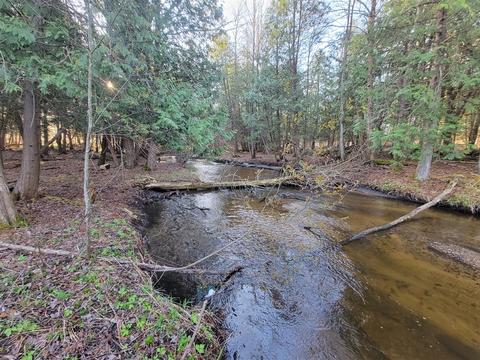 3 08 Acres Wilderness, Kaleva, MI 49645