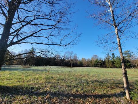 3 08 Acres Wilderness, Kaleva, MI 49645 photo 8