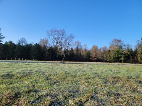 3 08 Acres Wilderness, Kaleva, MI 49645 photo 9