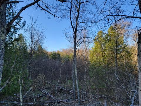 3 08 Acres Wilderness, Kaleva, MI 49645 photo 10