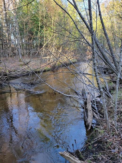 3 08 Acres Wilderness, Kaleva, MI 49645 photo 14