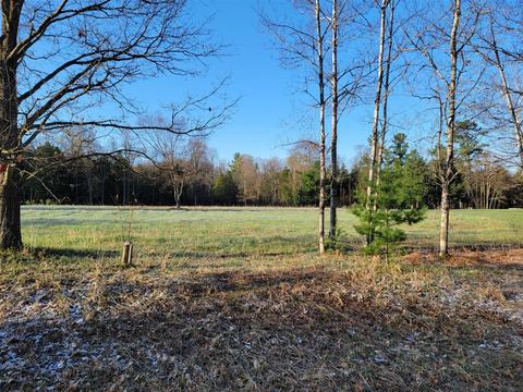 3 08 Acres Wilderness, Kaleva, MI 49645 photo 6