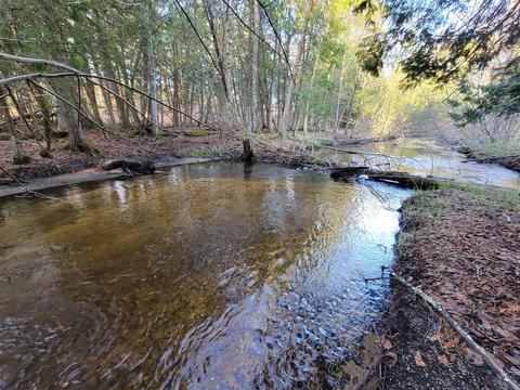 3 08 Acres Wilderness, Kaleva, MI 49645 photo 3