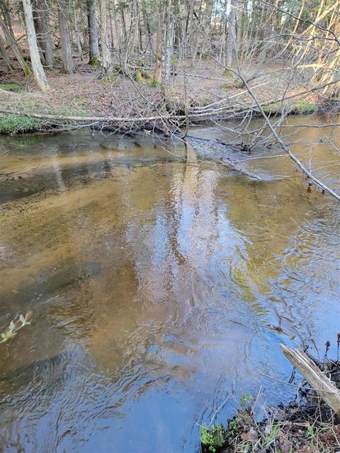 3 08 Acres Wilderness, Kaleva, MI 49645 photo 15