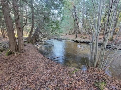 3 08 Acres Wilderness, Kaleva, MI 49645 photo 2