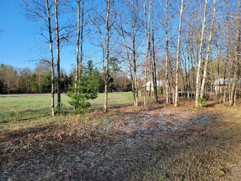 3 08 Acres Wilderness, Kaleva, MI 49645 photo 5