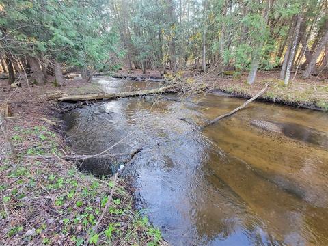 3 08 Acres Wilderness, Kaleva, MI 49645 photo 16