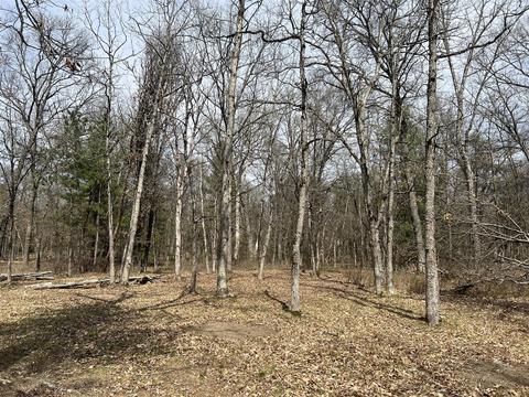 4440 W 8th St, Baldwin, MI 49304 photo 4