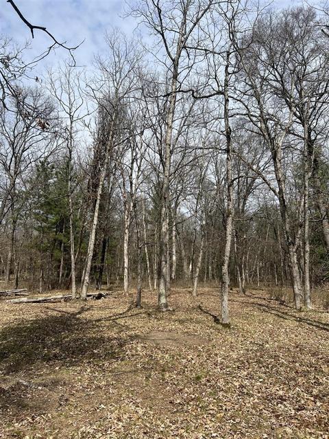 4440 W 8th St, Baldwin, MI 49304 photo 3