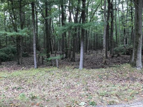 Timber Ridge, Manistee, MI 49660